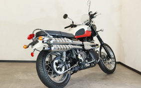 TRIUMPH SCRAMBLER 900 2007 TJ9171