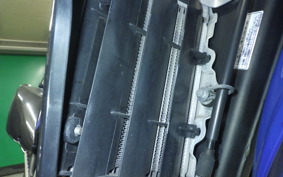 KAWASAKI KLX250D TRACKER X 2017 LX250V