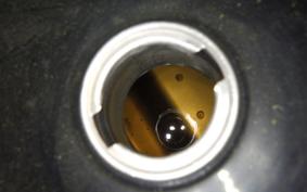 YAMAHA GEAR Gen.2 2021 UA08J