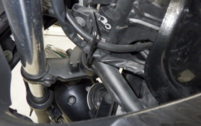 KAWASAKI NINJA 250 2025 EX250L