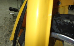 HONDA LITTLE CUB 2019 AA01