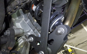 KAWASAKI NINJA 250 2024 EX250Y