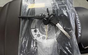 TRIUMPH SCRAMBLER400X 2024