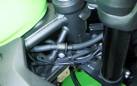 KAWASAKI ZX-4RR 2023 ZX400P