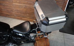 HARLEY XL1200C 2011 CT3