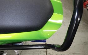 KAWASAKI NINJA 1000 A 2014