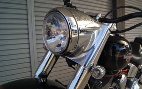 HARLEY FLSTC 2005 BJY