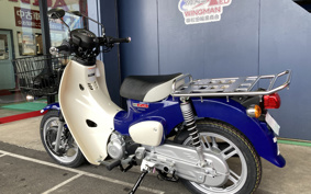 HONDA C110 SUPER CUB PRO 2024 JA61