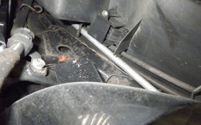 HONDA LEAD 110 2022 JF19