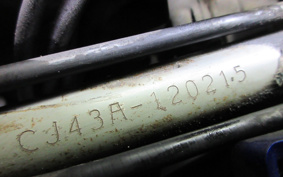 SUZUKI SKYWAVE 250S-1 CJ43A