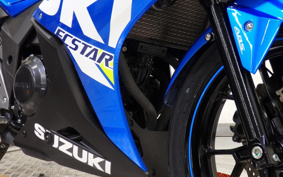 SUZUKI GSX250R DN11A