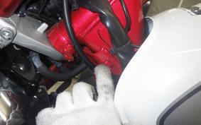 HONDA MONKEY 125 1998 JB03