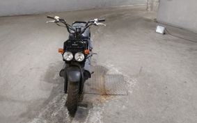 HONDA ZUMAR AF58