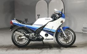 YAMAHA RZ250RR 29L