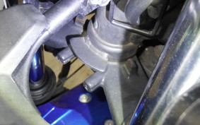 KAWASAKI NINJA 250 EX250L