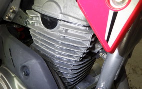HONDA CRF250F 2024
