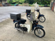 Фото Suzuki BAR DEE50 с японского аукциона