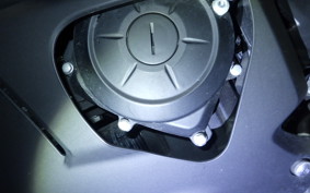 YAMAHA YZF-R25 2022 RG43J
