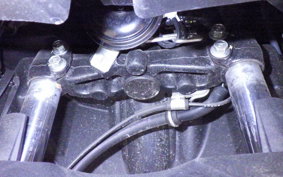 YAMAHA CYGNUSｸﾞﾘﾌｧｽ 2010 SEJ4J