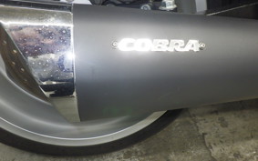 SUZUKI ﾌﾞﾙｰﾊﾞｰﾄﾞM109R 2016