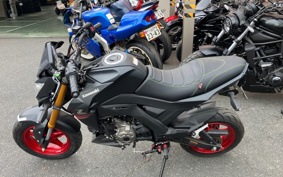 KAWASAKI Z125 PRO BR125H