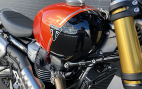 TRIUMPH  TRIUMPH  SCRAMBLER 1200XE 2024 DADS0H