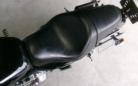 HARLEY XL1200C 2015 CT3