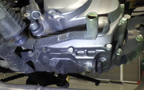 HONDA APE 50 2021 AC16