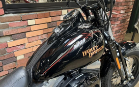 HARLEY FLSTSB 2009 JM5