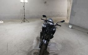 YAMAHA MT-25 RG74J