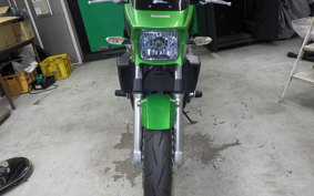 KAWASAKI ZRX1200 D 2013 ZRT20D