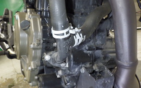 HUSQVARNA SVARTPILEN 250 2025