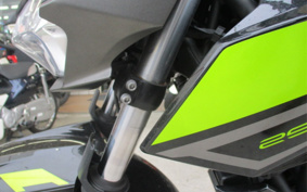 KAWASAKI Z250 EX250P