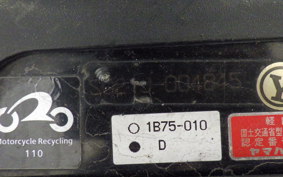 YAMAHA MAXAM 250 SG21J