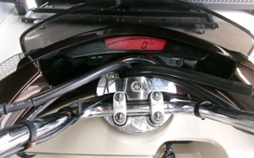 YAMAHA MAXAM 250 SG21J