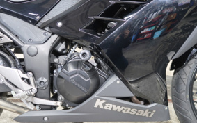 KAWASAKI NINJA 250 EX250L