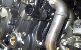 MV AGUSTA BRUTALE 800 DRAGSTER 2023