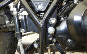 OTHER MUTT250