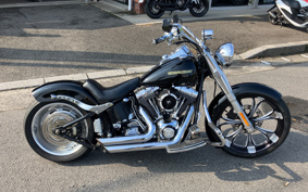 HARLEY FLSTC 2000 BJY