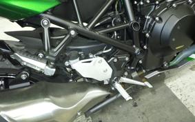 KAWASAKI NINJA H2 SX SE 2024 ZXT02P