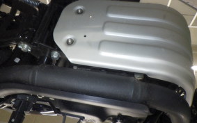 OTHER ENFIELD HUNTER 350 2024