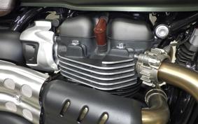 TRIUMPH SCRAMBLER 900 2025