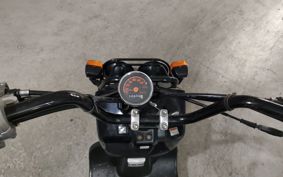 HONDA ZUMAR AF58