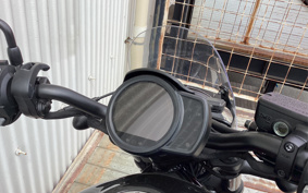 HONDA REBEL 1100 DCT 2024 SC83