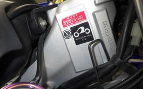 YAMAHA WR250R 2025 DG15J