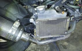 HONDA ZOOMER 2019 AF58