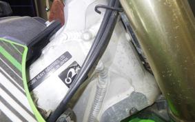 KAWASAKI KX250 F 2021 KX250Y