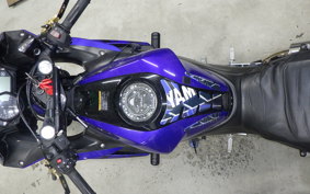 YAMAHA YZF-R25 2017 RG10J