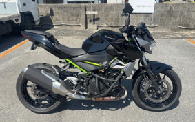 KAWASAKI Z250ABS EX250P