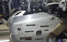 TRIUMPH TIGER 900 RALLY PRO 2022